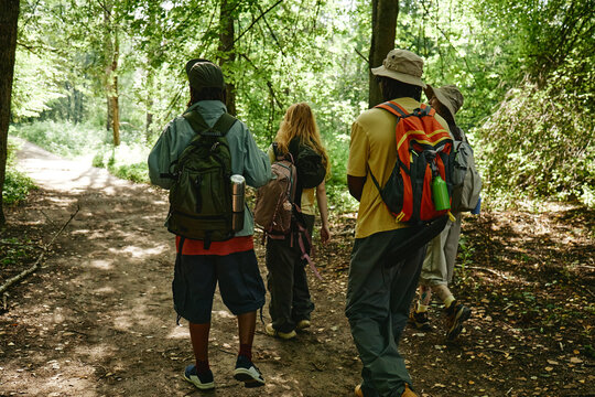 Rear view of diverse young adult friends hiking in forest with backpacks. Image represents outdoor recreation and eco tourism, suitable for travel campaign