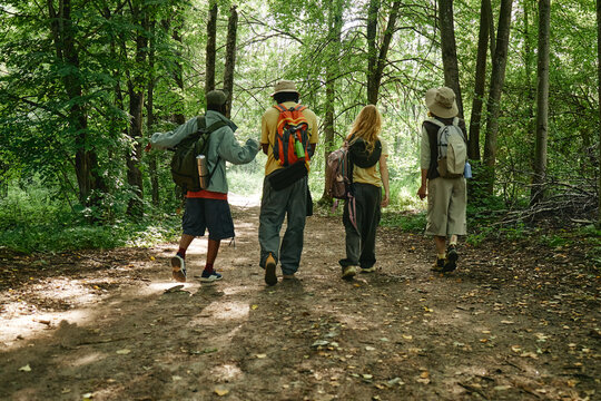 Rear view of diverse group of young adult friends hiking on dirt path in green forest. Image represents outdoor recreation and is suitable for travel and adventure campaign