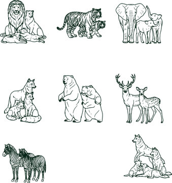 Wild animal families line art collection vector set isolated on white background