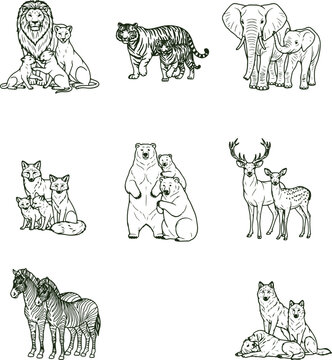 Wild animal families line art collection vector set isolated on white background