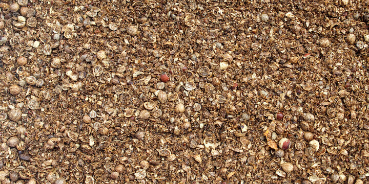Coarsely ground coriander forms a natural brownish background texture pattern