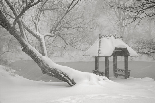 Snow-covered gazebo at Wagner Cove on the lake in Central Park during a winter snowstorm, Manhattan, New York City (Black and White)