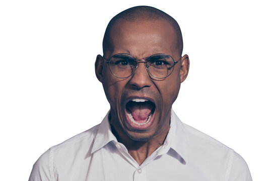 Close up photo amazing dark skin he him his macho roaring loudly wild nature tired not reliable coworkers people not fear open mouth shaved face wear specs white shirt isolated grey background