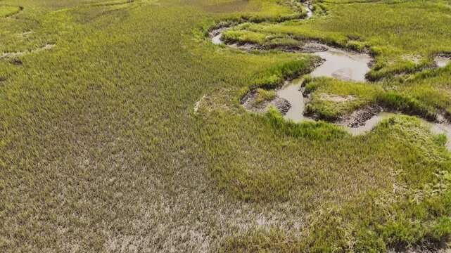 Drone view of a marshland with water and grass 
