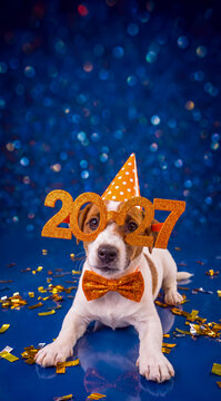 Cute Jack Russell terrier puppy celebrating New Year 2027 in party hat, glasses and bow tie on blue bokeh background with confetti.