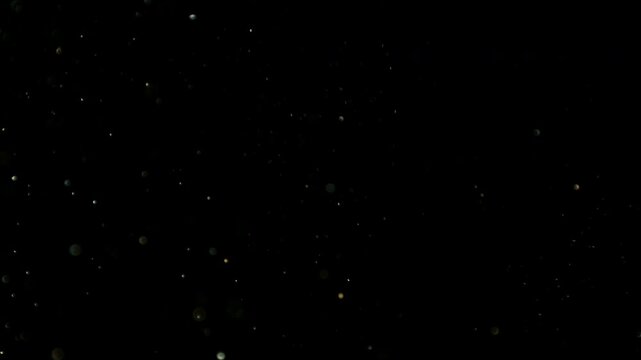 Super slow motion video at 1000 fps showing tiny particles floating and moving through the air against a black background, revealing intricate motion and atmospheric detail.