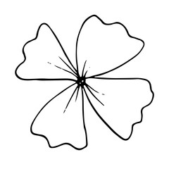 Fototapeta premium Delicate hand drawn floral sketch featuring four elegant petals depicted with clean lines on transparent background