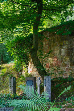 Am Hang mit Steinmauer auf dem Waldfriedhof im Schatten einige kleine Gr&auml;ber, ohne Namen