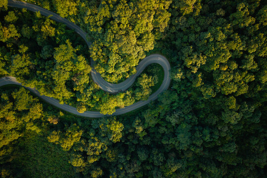 Aerial view of a winding road through a lush green forest with a driving car.