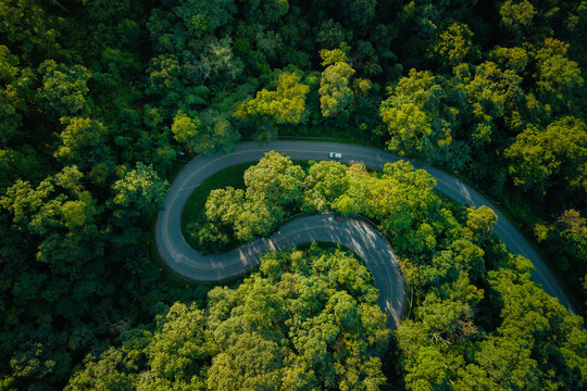 Aerial view of a winding road through a lush green forest with a driving car.