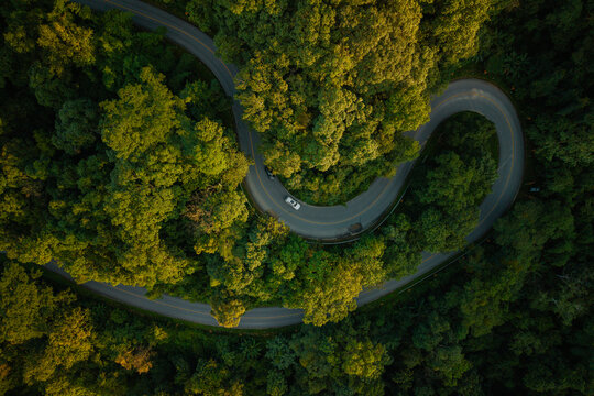 Aerial view of a winding road through a lush green forest with a driving car.