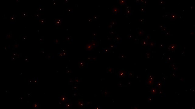Realistic fire sparks isolated on a black background, Particles flying in wind on fire background Animation, Flying around fire dust particles sparks or ember from a burning fire 