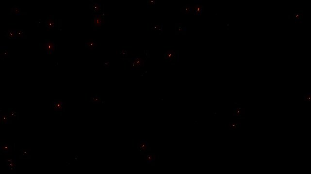 Realistic fire sparks isolated on a black background, Particles flying in wind on fire background Animation, Flying around fire dust particles sparks or ember from a burning fire 