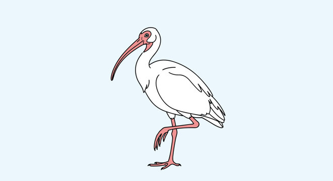 Simple color illustration of a white ibis bird standing on one leg against a pale blue background.