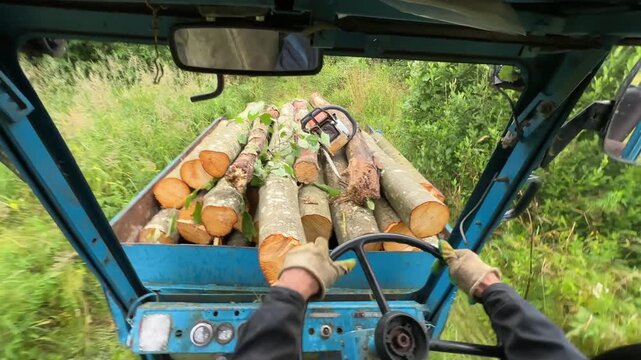 Person driving trailer with cut logs. Tractor driver transports firewood in a rural area. Transporting firewood for heating in countryside. Firewood preparation and transportation.