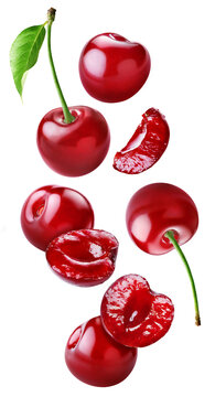 Whole and cut red cherries floating vertically with one long stem and green leaf isolated on transparent background.
