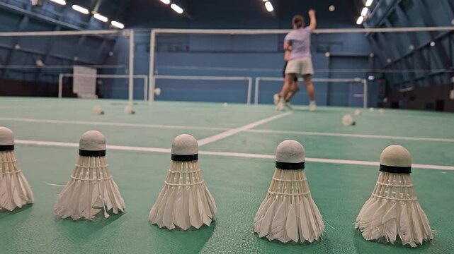 Badminton shuttlecocks line foreground. Players move on indoor court. Action unfolds behind shallow focus. Game continues during active play