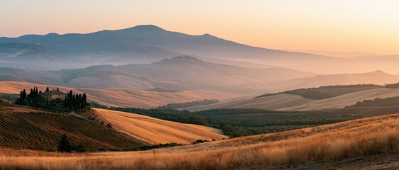 The Landscape of Tuscany's rolling hills bathed in golden hour light