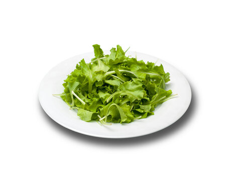 Minimal White Plate with Green Salad on white Background