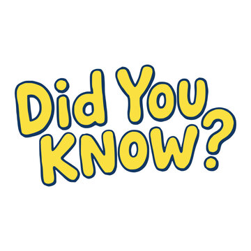 did you know lettering text typography fun fact trivia flat color vector illustration template design