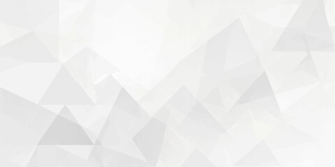 Obraz premium White geometric vector background with subtle faceted polygon shapes and soft abstract texture for modern designs