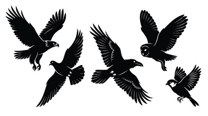 Fototapeta premium Different species of flying birds isolated on white background.