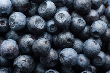 Fresh wild blueberries wallpaper top view © danishch