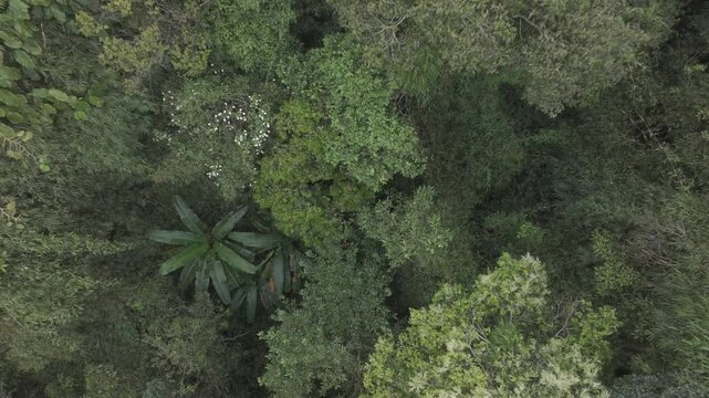 Aerial drone view of Truong Son Dong Road winding through colorful mountain forests in Kbang, Gia Lai, Vietnam, with sunlight illuminating the scenic Central Highlands landscape.