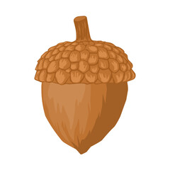 acorn and oak leaf © Reza