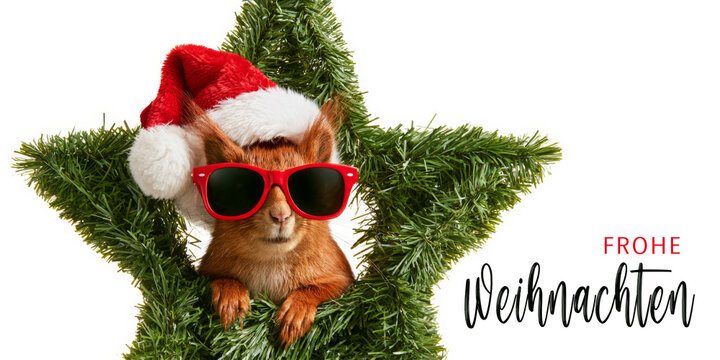 Frohe Weihnachten Tier Konzept Gru&szlig;karte Postkarte lang mit deutschem Text - Cooles lustiges Eicch&ouml;rnchen mit Nikolausm&uuml;tze oder Weihnachtsmannm&uuml;tze und Stern, isoliert auf weissem Hintergrund