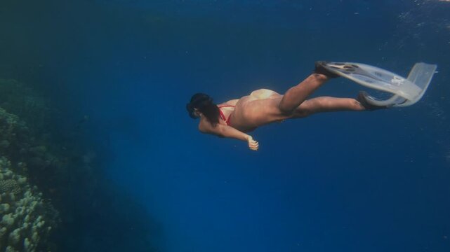 Woman freediving with long fins along tropical coral reef, exploring underwater marine environment in clear blue sea