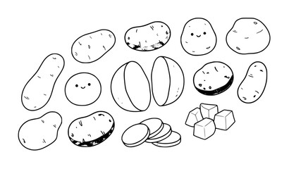 Fototapeta premium Fresh Young Potato Variety Whole Half and Slices Cartoon Vector Collection