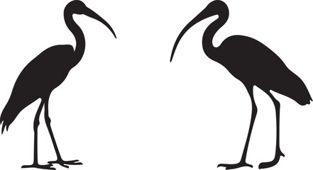Naklejka premium illustration of a flamingo