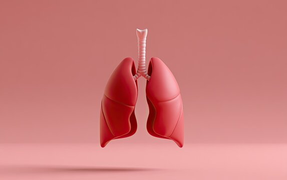 Red 3D rendering of human lungs with trachea on pink background