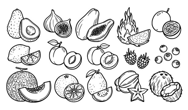 Playful hand drawn fruit outline doodle vector collection with organic sketch style
