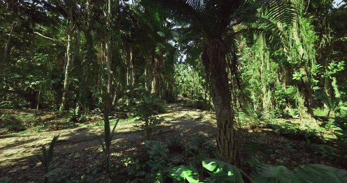 Morning forest floor with sunbeams filtering through canopy, soft mist and rustling ferns set scene for early hiking, outdoor adventure and cinematic landscape
