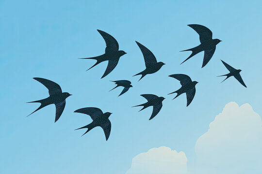 Simple birds flying 
