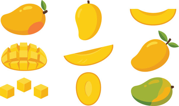 Fresh organic yellow mango fruit vector set including whole halves cubes slices and green varieties.