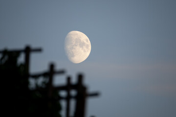 Waxing gibbous moon above a blurred vineyard trellis at dusk © Paul V.