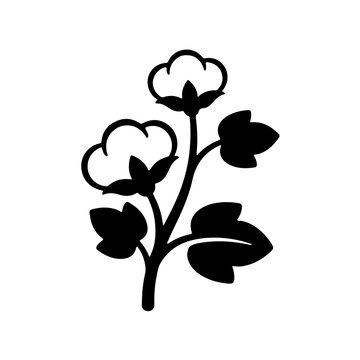 Cotton Branch Vector Icon for Textile and Organic Botanical Design