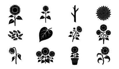 Obraz premium Sunflower Farm Botanical and Seed Silhouette Black Vector Bundle