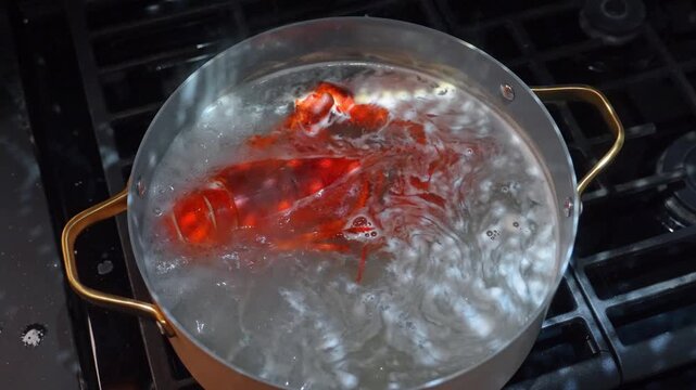 Overhead view of lobster boiling in metal pot. Rapidly bubbling liquid surrounds the red shell inside a cooktop pan.