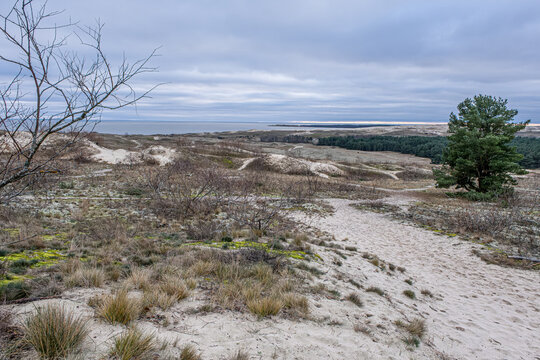 The delicate Parnidis Dune, 52 meters high above sea level, is a white drifting dune on the coast of the Curonian Spit, located near the Lithuania-Russia border, southeast of Nida, Klaipeda, Lithuania