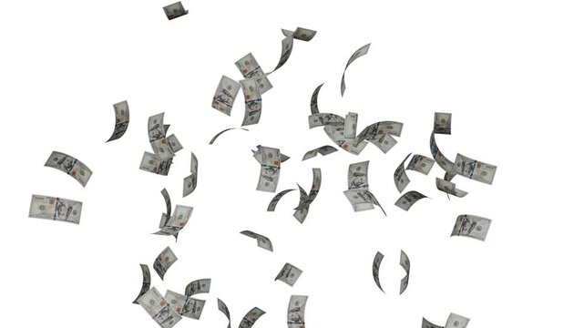 3d money rain on a transparent background. Seamless looping animation.