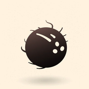 Vector Icon of Coconut Fruit