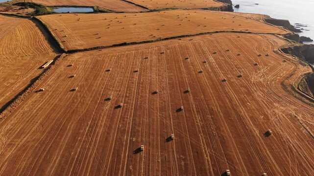 Drone camera orbit over coastal farm fields with hay bales bathed in evening sun, revealing rugged cliff edge and calm sea below