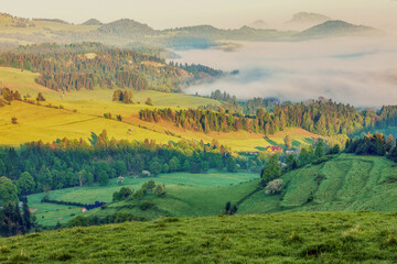  Wiosenny poranek w Pieninach. © Janusz Lipiński
