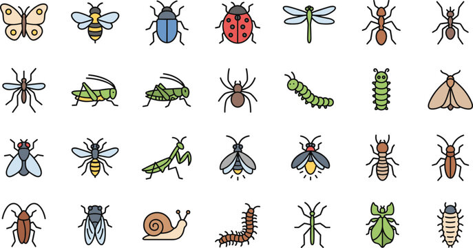 Insect and bug icon set featuring butterflies, bees, beetles, dragonflies, ants, flies, grasshoppers, spiders, caterpillars, moths and garden pests