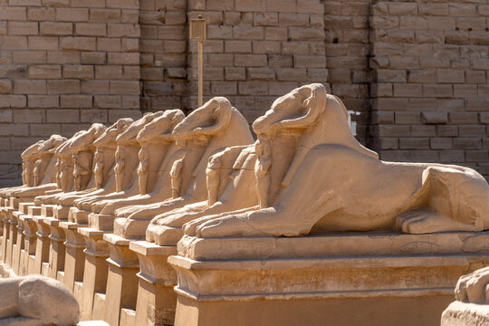 Ancient Egyptian stone ram-headed sphinx statues lining historic entrance path at Karnak Temple complex in Luxor, Egypt, representing classical archaeological heritage.