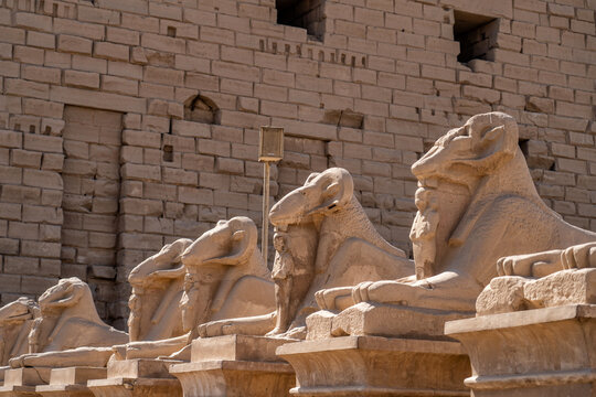 Ancient Egyptian stone sphinx statues with ram heads lined up along pathway at historic Karnak Temple complex in Luxor under bright desert sun in Egypt